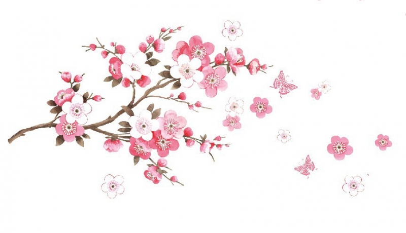 Comprar Mariposas De Papel Para Decorar Paredes Amazon Comprar Mariposas De Papel Para Decorar Paredes Amazon