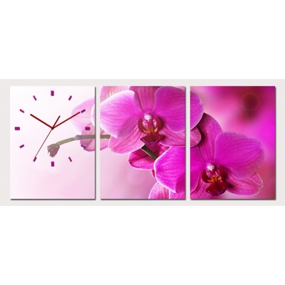 Horloge Fleurs d'Orchidées