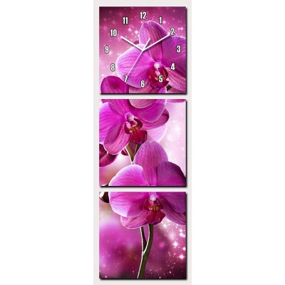 Horloge Murale Orchidées fushia