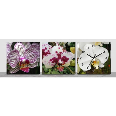 Horloge Murale Fleurs d'Orchidées Equatoriales