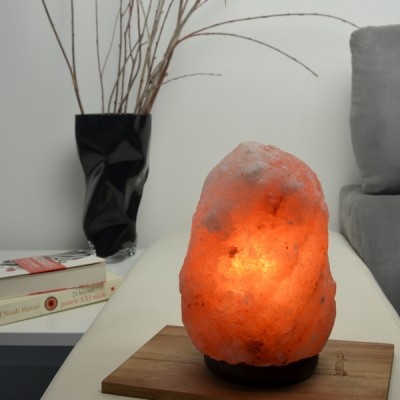 Lampe Cristal Sel de l'Himalaya 2 à 3 kg