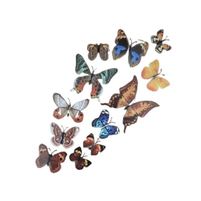 Stickers 12 Papillons Marrons 3D