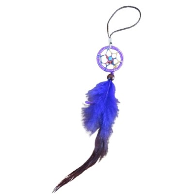 Petit Attrape Rêves violet