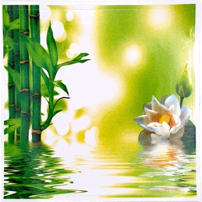 Sticker Bambous vert, Lotus