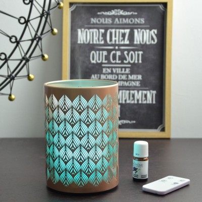 Diffuseur Ultrasonique d'Huile Vienne