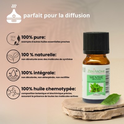 Huile Essentielle de Menthe Arvensis